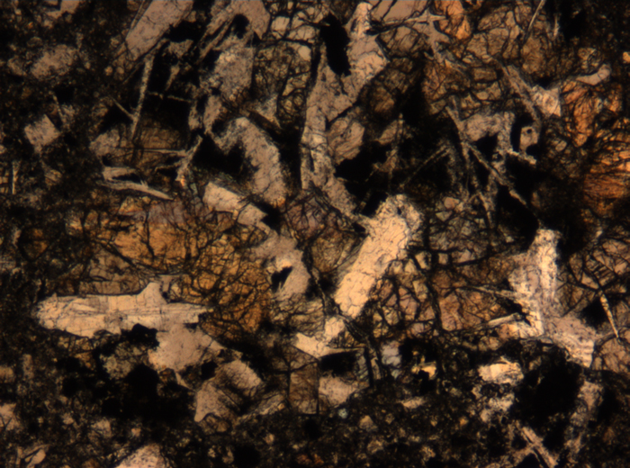Thin Section Photograph of Apollo 17 Sample 72275,136 in Plane-Polarized Light at 5x Magnification and 1.4 mm Field of View (View #54)