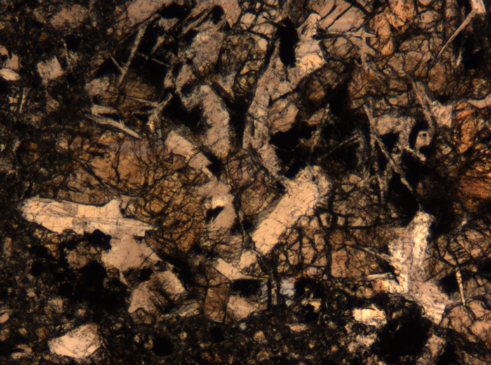 Thin Section Photograph of Apollo 17 Sample 72275,136 in Plane-Polarized Light at 5x Magnification and 1.4 mm Field of View (View #56)