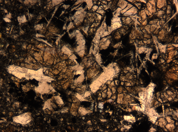 Thin Section Photograph of Apollo 17 Sample 72275,136 in Plane-Polarized Light at 5x Magnification and 1.4 mm Field of View (View #57)