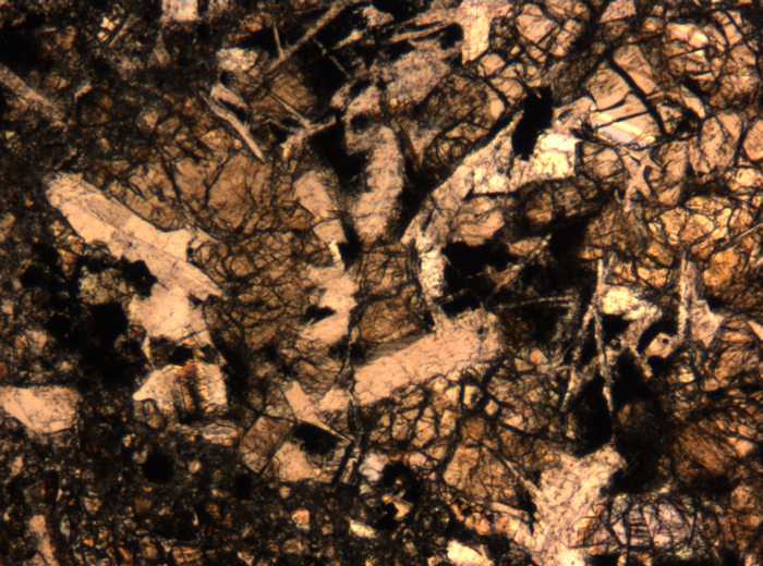 Thin Section Photograph of Apollo 17 Sample 72275,136 in Plane-Polarized Light at 5x Magnification and 1.4 mm Field of View (View #61)