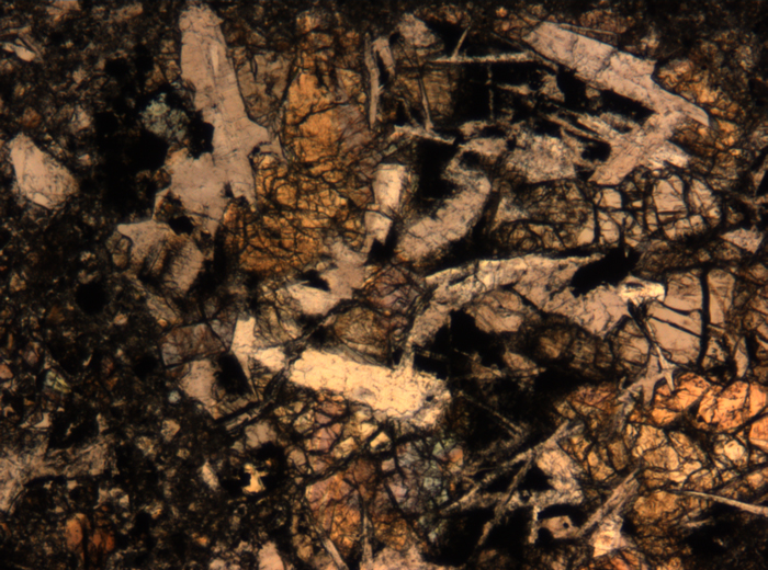 Thin Section Photograph of Apollo 17 Sample 72275,136 in Plane-Polarized Light at 5x Magnification and 1.4 mm Field of View (View #69)