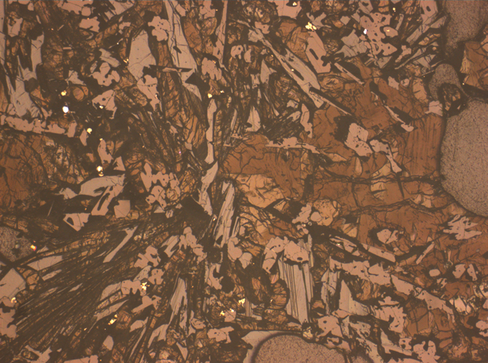Thin Section Photograph of Apollo 17 Sample 74255,62 in Reflected Light at 2.5x Magnification and 2.85 mm Field of View (View #1)