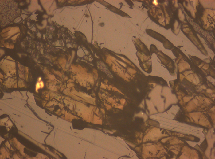 Thin Section Photograph of Apollo 17 Sample 74255,62 in Reflected Light at 10x Magnification and 1.15 mm Field of View (View #3)