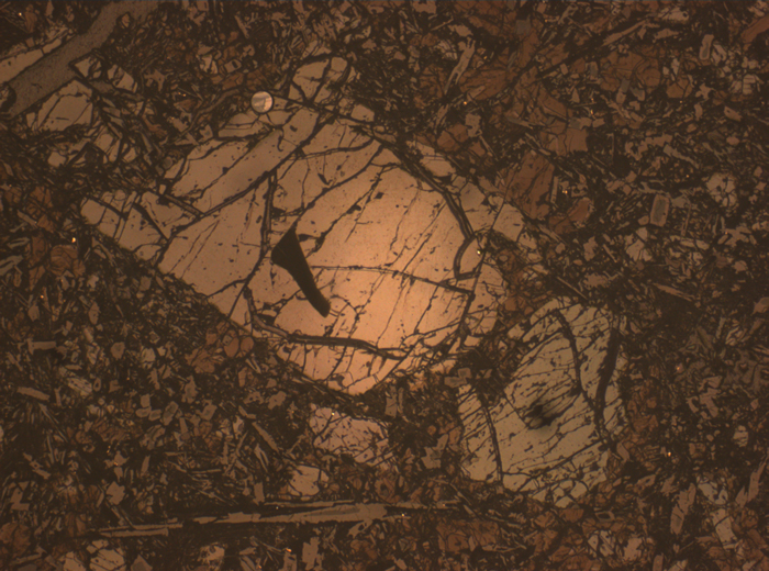 Thin Section Photograph of Apollo 17 Sample 74275,95 in Reflected Light at 2.5x Magnification and 2.85 mm Field of View (View #1)