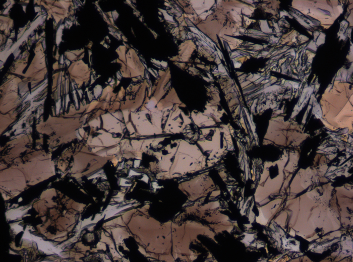 Thin Section Photograph of Apollo 17 Sample 74275,95 in Plane-Polarized Light at 10x Magnification and 1.15 mm Field of View (View #3)