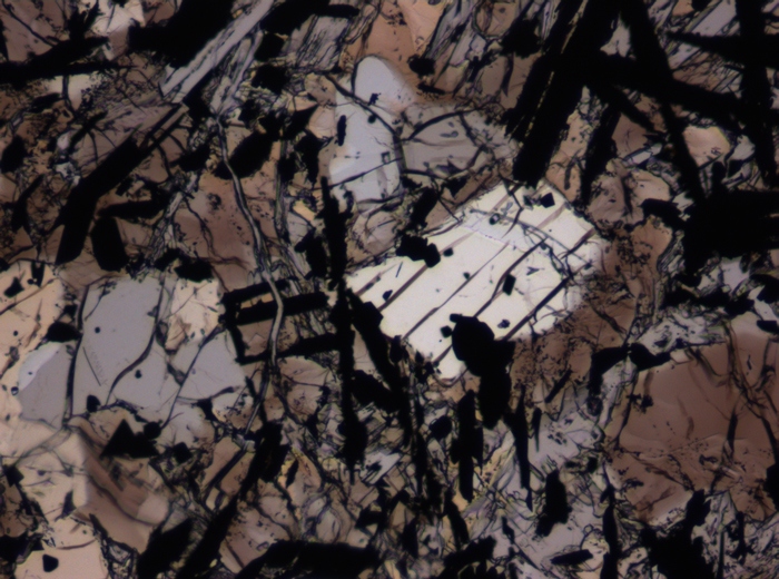 Thin Section Photograph of Apollo 17 Sample 74275,95 in Plane-Polarized Light at 10x Magnification and 1.15 mm Field of View (View #4)