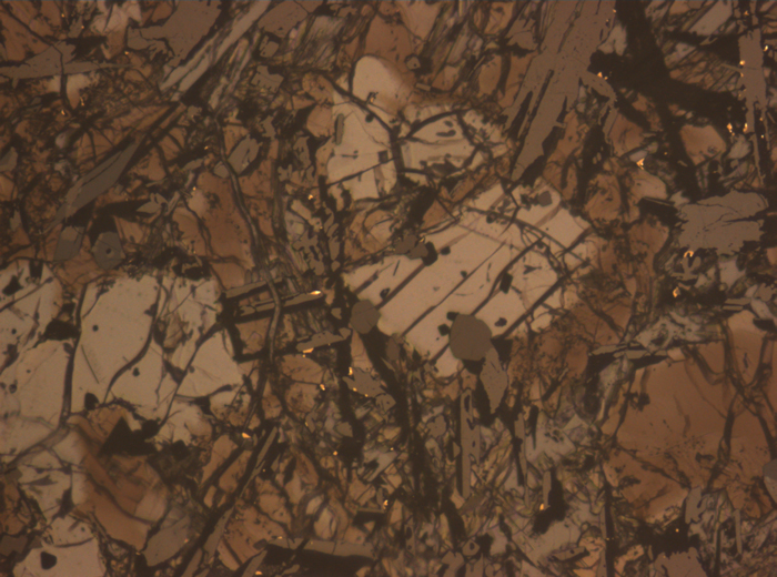 Thin Section Photograph of Apollo 17 Sample 74275,95 in Reflected Light at 10x Magnification and 1.15 mm Field of View (View #4)