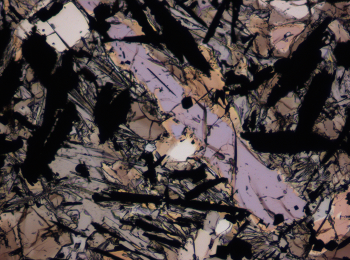 Thin Section Photograph of Apollo 17 Sample 74275,95 in Plane-Polarized Light at 10x Magnification and 1.15 mm Field of View (View #5)