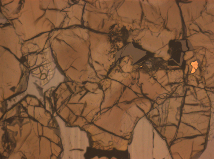 Thin Section Photograph of Apollo 17 Sample 75015,26 in Reflected Light at 10x Magnification and 1.15 mm Field of View (View #4)