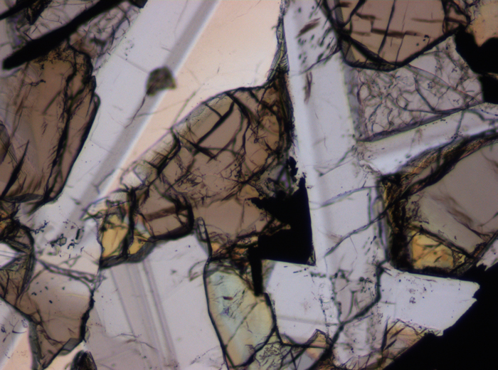 Thin Section Photograph of Apollo 17 Sample 75035,71 in Plane-Polarized Light at 10x Magnification and 1.15 mm Field of View (View #3)
