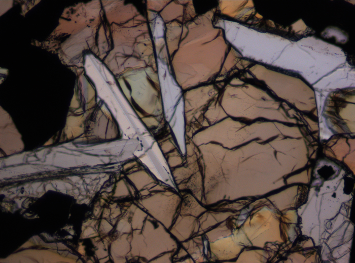 Thin Section Photograph of Apollo 17 Sample 75035,71 in Plane-Polarized Light at 10x Magnification and 1.15 mm Field of View (View #5)