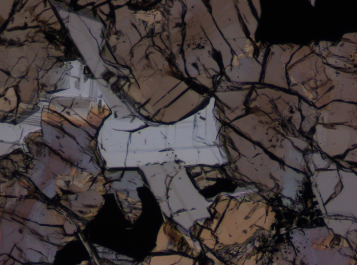Thin Section Photograph of Apollo 17 Sample 75055,15 in Plane-Polarized Light at 10x Magnification and 1.15 mm Field of View (View #3)