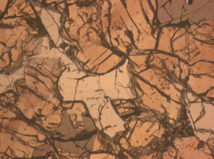 Thin Section Photograph of Apollo 17 Sample 75055,15 in Reflected Light at 10x Magnification and 1.15 mm Field of View (View #3)