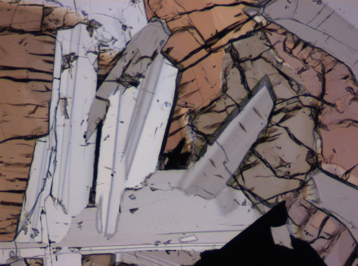 Thin Section Photograph of Apollo 17 Sample 75055,15 in Plane-Polarized Light at 10x Magnification and 1.15 mm Field of View (View #4)