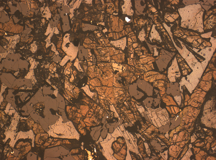 Thin Section Photograph of Apollo 17 Sample 75075,83 in Reflected Light at 2.5x Magnification and 2.85 mm Field of View (View #4)
