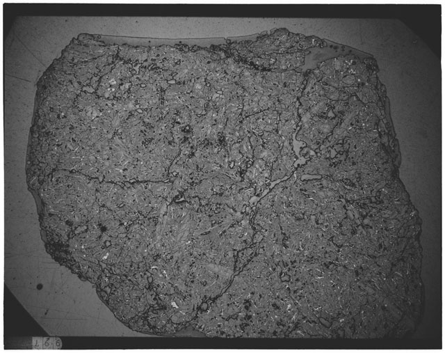 Black and white Thin Section photograph of Apollo 12 Sample(s) 12065,8 using reflective light.