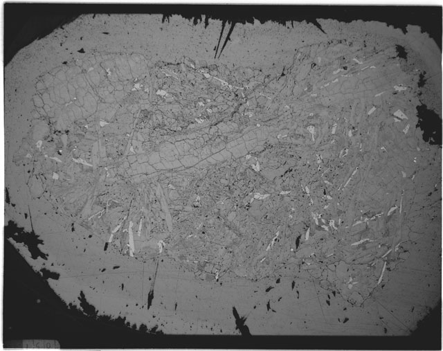 Black and white Thin Section photograph of Apollo 12 Sample(s) 12021,5 using transmitted light.