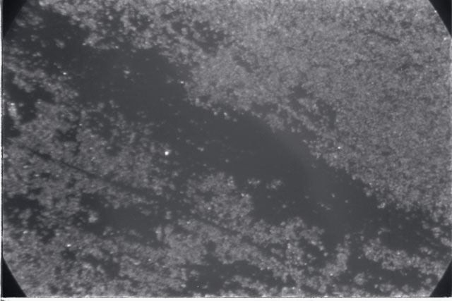 Black and white photograph of Apollo 11 Sample(s) 10003; Processing photograph displaying close up view of a sawed surface.
