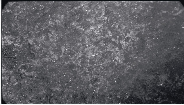 Black and white photograph of Apollo 11 Sample(s) 10003; Processing photograph displaying close up view of surface.