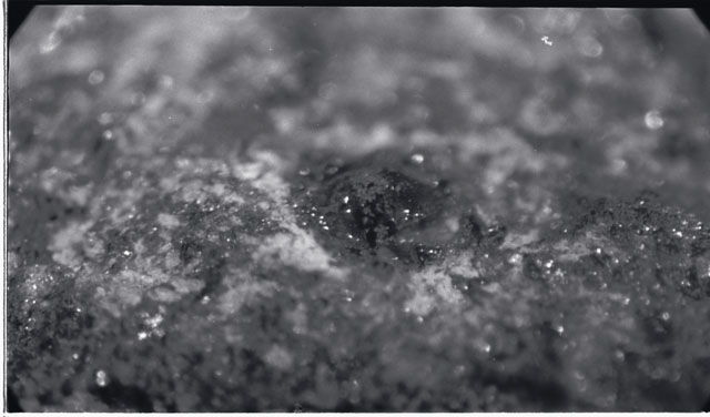 Thin Section photograph of Apollo 11 sample(s) 10003,0