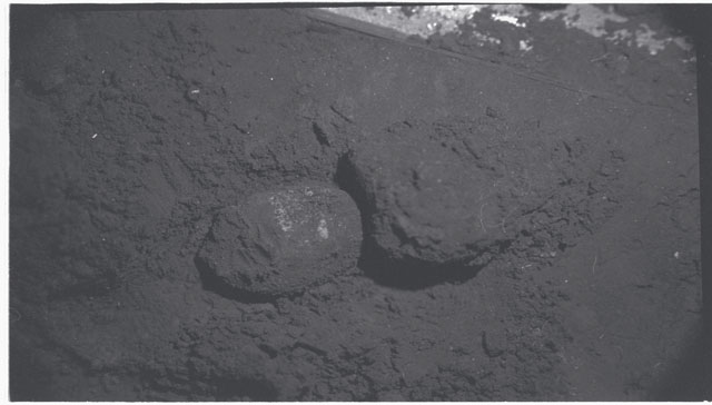 Black and white photograph of Apollo 11 Sample(s) 10003; Processing photograph displaying close up view of a fines.