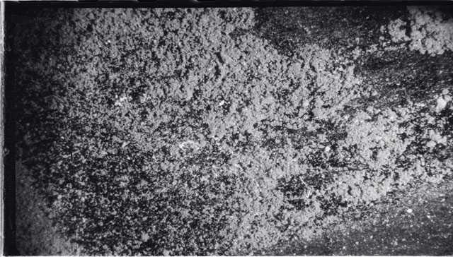 Black and white photograph of Apollo 11 Sample(s) 10003; Processing photograph displaying a close up view.