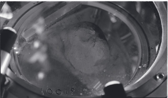 Black and white Processing photograph of Apollo 11 Sample(s) 10019.