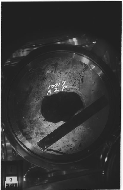 Black and white photograph of apollo 11 Sample(s) 10019,0; Processing photograph displaying sample in vacuum vault at R2P.