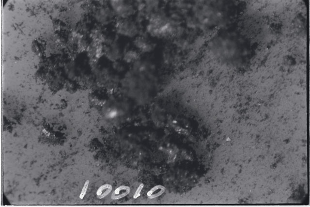 Black and white photograph of Apollo 11 Sample(s) 10010; Processing photograph displaying grains.
