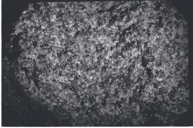 Black and white photograph of Apollo 11 Sample(s) 10044; Processing photograph displaying a close up view of surface.