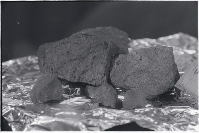 Black and white photograph of Apollo 11 Sample(s) 10049; Processing photograph displaying post chip sample.