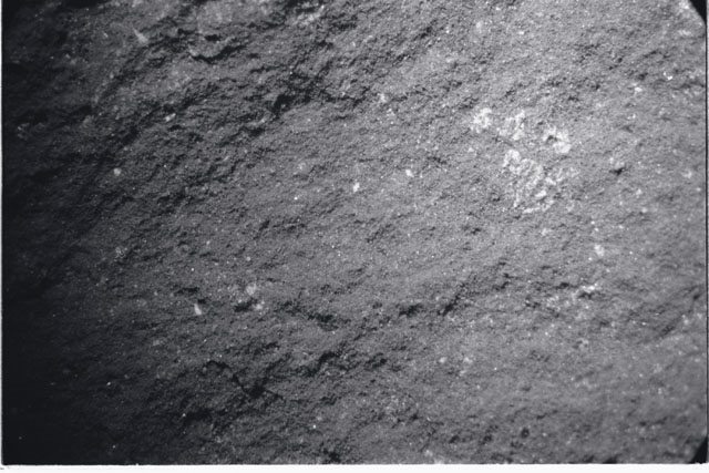 Black and white photograph of Apollo 11 Sample(s) 10019; Processing photograph displaying a close up of surface.