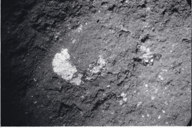 Black and white photograph of Apollo 11 Sample(s) 10019; Processing photograph displaying a close up of white clast.