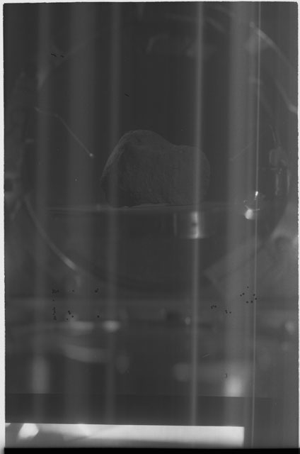 Stereo photograph of Apollo 11 sample(s) 10069,0