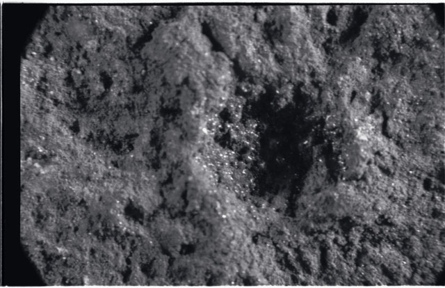 Black and white photograph of Apollo 11 Sample(s) 10046; Processing photograph displaying close up view of glass.