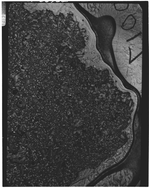 Thin Section photograph of Apollo 11 sample(s) 10017,0