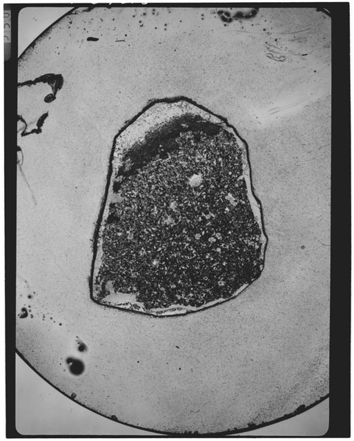 Thin Section photograph of Apollo 11 sample(s) 10057,33