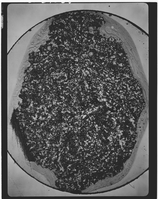 Black and white Thin Section photograph of Apollo 11 Sample(s) 10017,15.