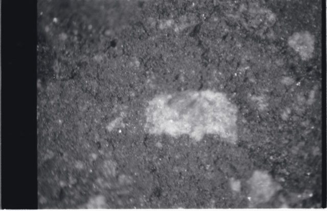 Black and white photograph of Apollo 11 Sample(s) 10046; Processing photograph displaying close up view of white clast.