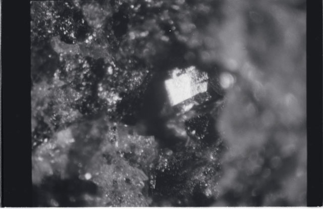Black and white photograph of Apollo 11 Sample(s) 10050; Processing photograph displaying close up of surface area.