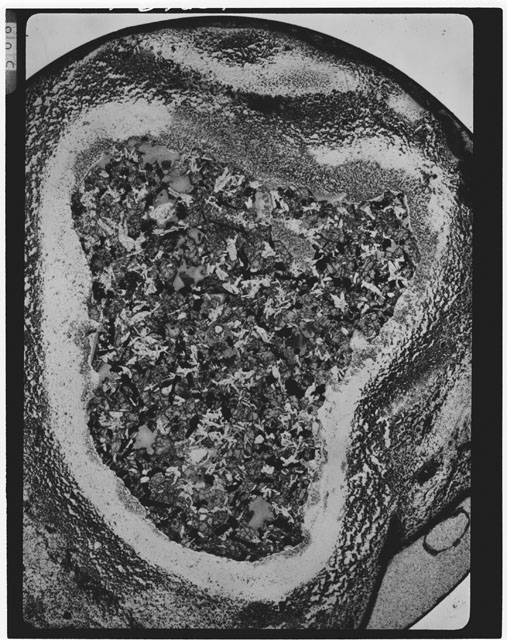 Black and white photograph of Apollo 11 Sample(s) 10050; Thin Section photograph using cross nichols light.