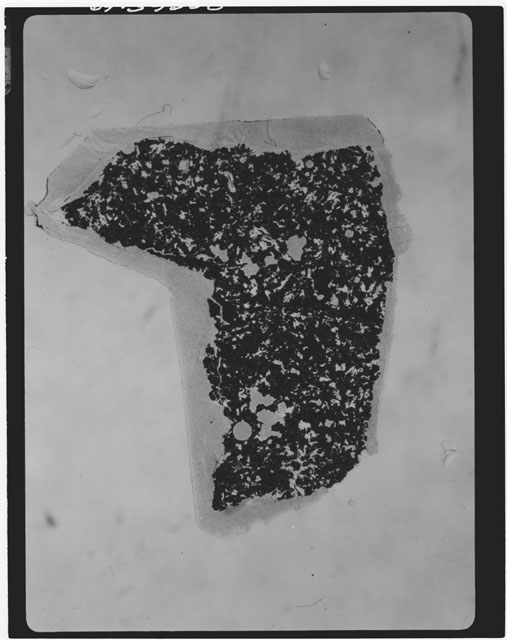 Black and white Thin Section photograph of Apollo 11 Sample(s) 10017.