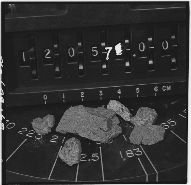 Black and white photograph of Apollo 12 Sample(S) 12057,0; Processing photograph displaying an of rake samples.