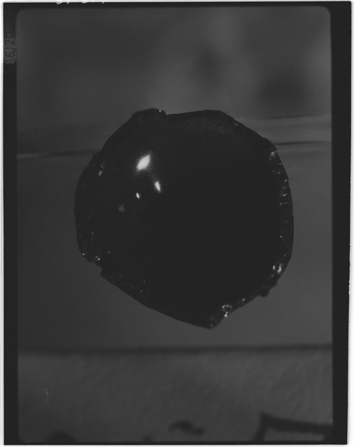 Black and white Processing photograph of Apollo 12 Sample(s) 12057,10.