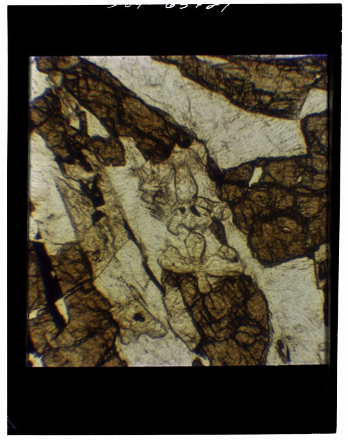 Color Thin Section photograph of Apollo 12 Sample(s) 12057,15 using transmitted light.
