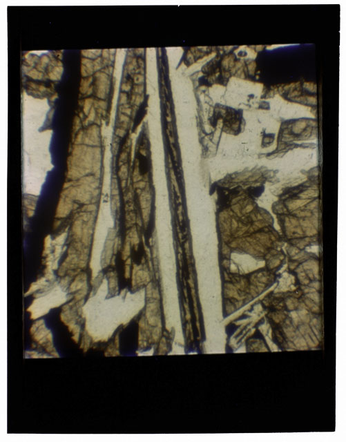 Color Thin Section photograph of Apollo 12 Sample(s) 12057,18 using transmitted light.