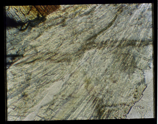 Color Thin Section photograph of Apollo 12 Sample(s) 12057,14 using transmitted light.