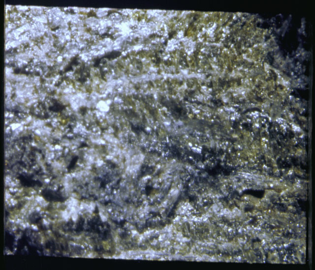 Color photograph of Apollo 12 sample 12021; Processing photograph displaying a close up of the surface.