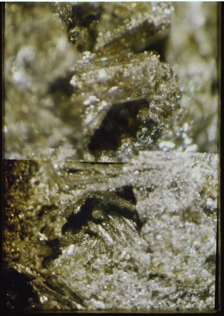Color photograph of Apollo 12 sample 12022; Processing photograph displaying a close up of the surface.