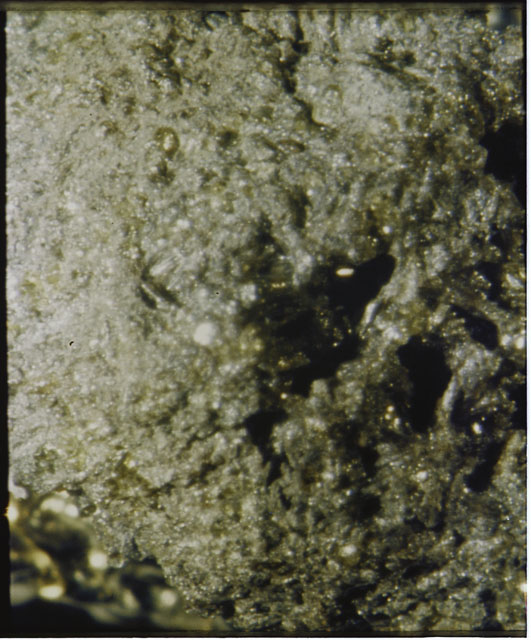 Color photograph of Apollo 12 sample 12022; Processing photograph displaying a close up of the surface.